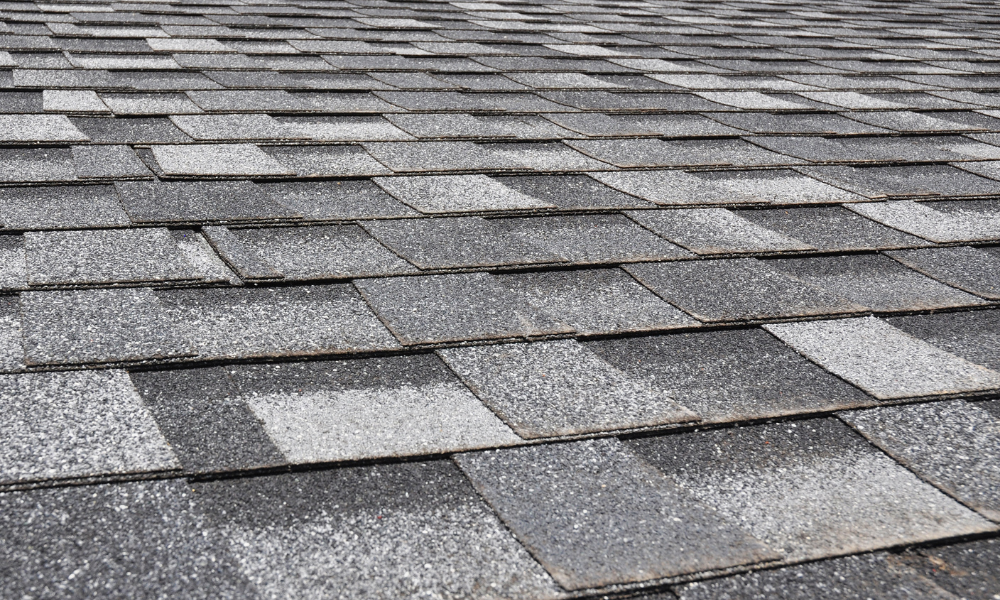 High-Performance Architectural Roofing System